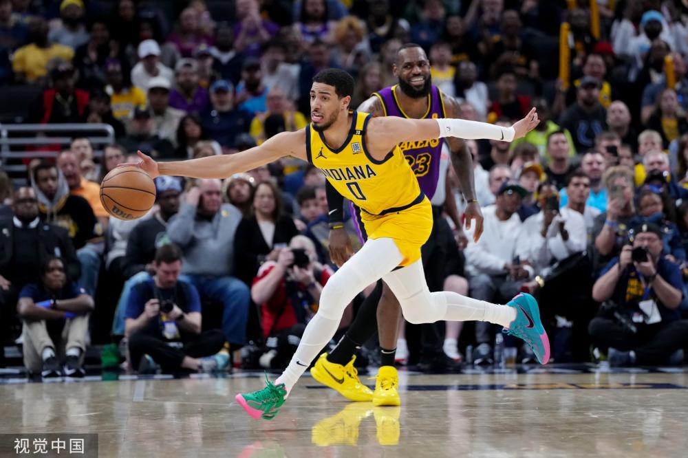 不仅可以提 不仅可以提